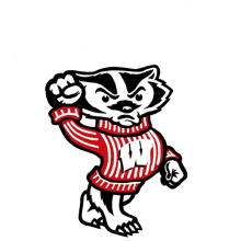 the badgers