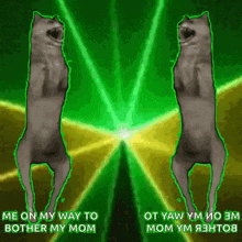 two cats are dancing in front of a green light with the words me on my way to bother my mom