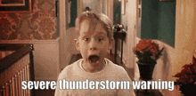 Home Alone Meme GIF - Home Alone Meme Thunderstorm GIFs