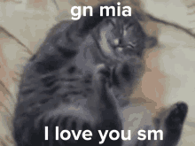 Gn Mia GIF - Gn Mia GIFs