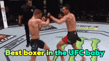 two men are fighting in a boxing ring with the words " best boxer in the ufc baby " above them