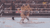 two women are wrestling in a ring with the words wrestlemania on the walls