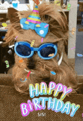 happy birthday party hat ribbon cute dog