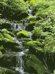 Waterfall Stream GIF
