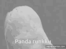 Panda Runkku Miika GIF - Panda Runkku Miika Mige GIFs