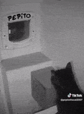 Pepito Cat GIF - Pepito Cat Leave GIFs