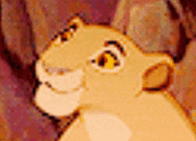 a close up of a lion 's face from the lion king