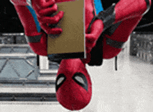 Miranha Miranha Noted GIF - Miranha Miranha Noted Spiderman Noted GIFs