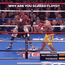 Floyd Manny GIF - Floyd Manny Pacquiao GIFs