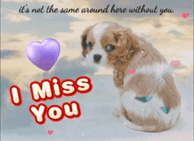 I Miss You I Love You Images GIF