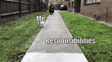 Responsibilities Milo GIF - Responsibilities Milo Punji GIFs