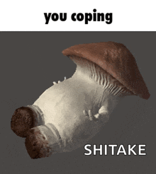 a picture of a mushroom with the words " you coping shitake " above it