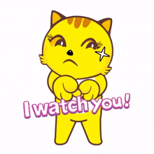 yellow cat big eyes i watch you eyes on you