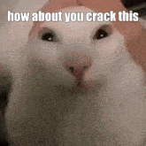 Crack This How About You Crack This GIF