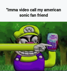 Video Call American Sonic Friend GIF