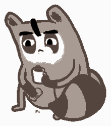popcorn raccoon