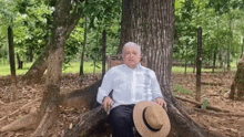 a man wearing a hat is sitting in a chair under a tree .