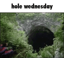 Hole Wednesday GIF - Hole Wednesday Hole Wednesday GIFs