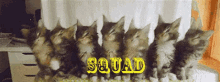 Kitty Squad GIF - Cats Kitty That Beat GIFs