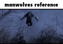 a werewolf is flying through the air in a forest at night .