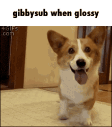 Gibbysub Gibbysub When Glossy GIF - Gibbysub Gibbysub When Glossy Gibby When Glossy GIFs