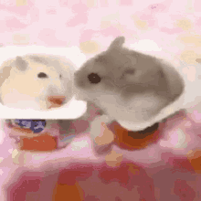 Scream Hamsters GIF - Scream Hamsters Tf2 GIFs