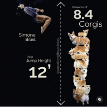 a picture of simone biles and 8.4 corgis