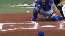Tampa Bay Rays Isaac Paredes GIF - Tampa Bay Rays Isaac Paredes Rays GIFs