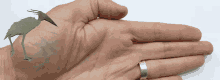 Hand Lopen GIF - Hand Lopen Getting Out Of Hand GIFs
