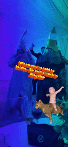 a baby is riding on the back of a cat with the words when you 're told to leave