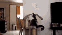 Trying To Go Home But Drunk GIF - Cats Cat House Slide GIFs