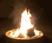 fire campfire warm fire