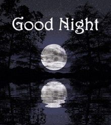 Good Night Moonlight GIF - Good Night Moonlight Lake GIFs