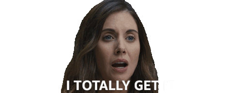 I Totally Get It Ally Sticker - I Totally Get It Ally Alison Brie Stickers