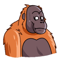 orangutan orang telegram orangutan