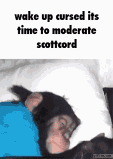 Scottcord Cursed GIF - Scottcord Cursed Mod GIFs