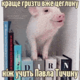 a pig is standing on top of a shelf of books with a caption in a foreign language