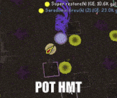a screenshot of a game that says " pot hmt "