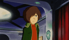 a cartoon character with a green jacket and red sweater