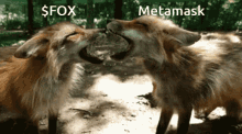 Fox Metamask GIF - Fox Metamask Shapeshift GIFs
