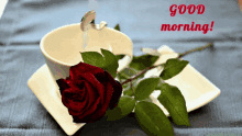 good morning red rose heart tea coffee