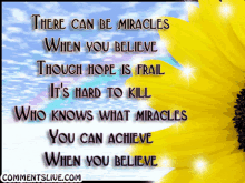 Miracles Hope GIF - Miracles Hope Flower GIFs