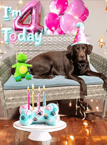 a dog wearing a party hat is laying on a wicker couch with balloons and a birthday cake