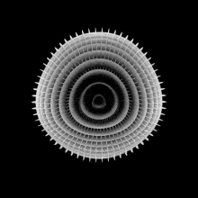 a black and white image of a circular pattern with spikes on a black background