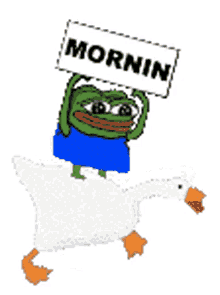 morningoose mornin goose frog morning