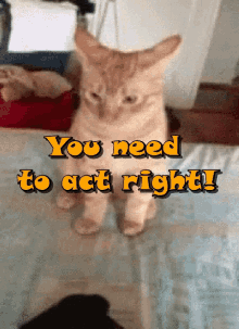 You Need To Act Right Tread Lightly GIF - You Need To Act Right Tread Lightly Nope GIFs