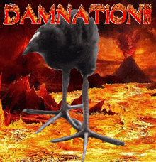 Ptaszor Damnation GIF