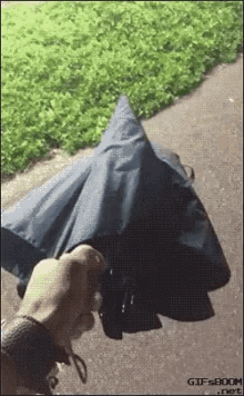 Umbrella GIF