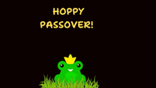Happy Passover Hoppy Passover GIF