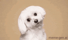 a white teddy bear with red socks and a smiling face